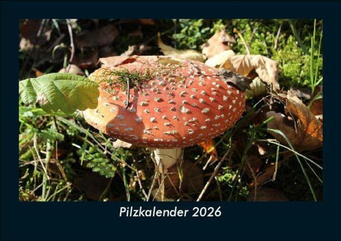 Pilzkalender 2026 Fotokalender DIN A5