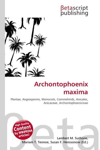 Archontophoenix maxima