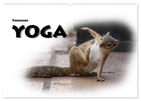 Tierisches Yoga (Wandkalender 2026 DIN A2 quer), CALVENDO Monatskalender