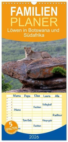 Familienplaner 2026 - Löwen in Botswana und Südafrika mit 5 Spalten (Wandkalender, 21 x 45 cm) CALVENDO