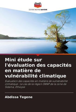 Mini étude sur l'évaluation des capacités en matière de vulnérabilité climatique
