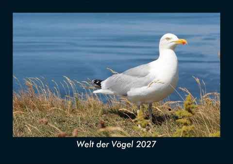Welt der Vögel 2027 Fotokalender DIN A5