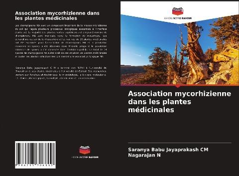 Association mycorhizienne dans les plantes médicinales