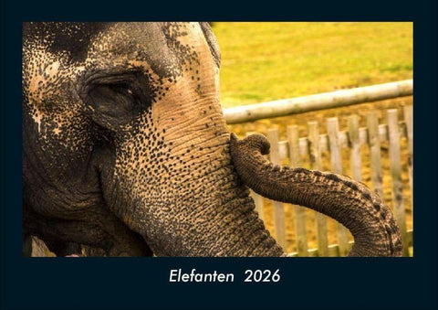 Elefanten  2026 Fotokalender DIN A4