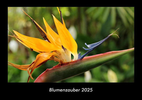 Blumenzauber 2025 Fotokalender DIN A3