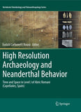 High Resolution Archaeology and Neanderthal Behavior