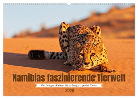 Namibias faszinierende Tierwelt (Wandkalender 2026 DIN A2 quer), CALVENDO Monatskalender