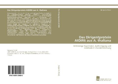 Das Dirigentprotein AtDIR6 aus A. thaliana