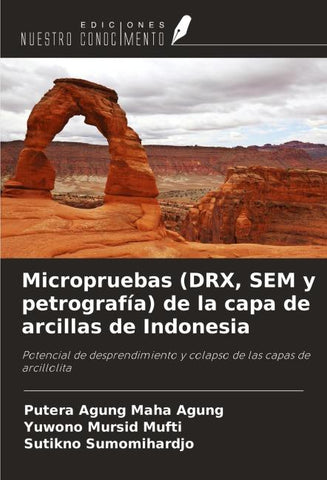 Micropruebas (DRX, SEM y petrografía) de la capa de arcillas de Indonesia