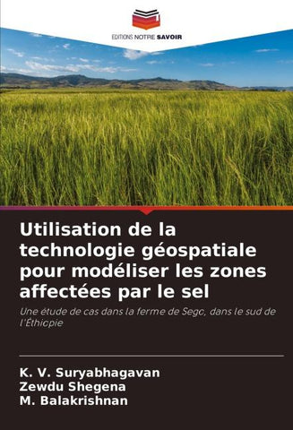 Utilisation de la technologie géospatiale pour modéliser les zones affectées par le sel