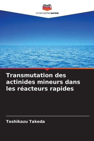 Transmutation des actinides mineurs dans les réacteurs rapides