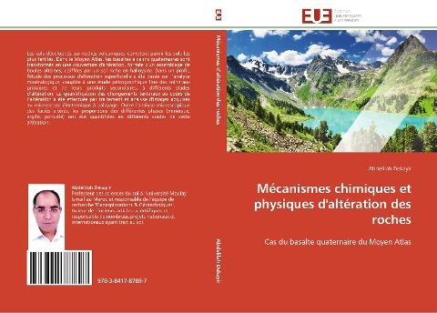Mécanismes chimiques et physiques d'altération des roches