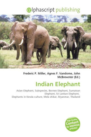 Indian Elephant