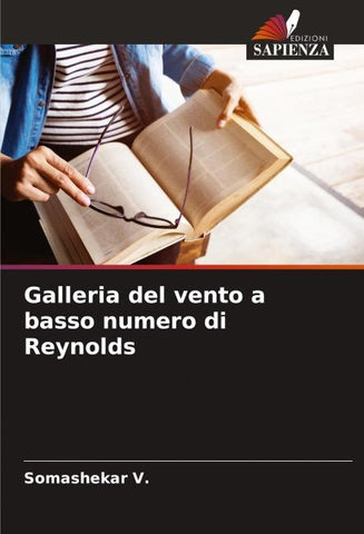 Galleria del vento a basso numero di Reynolds