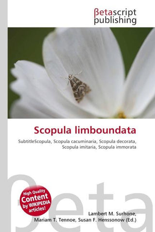 Scopula limboundata