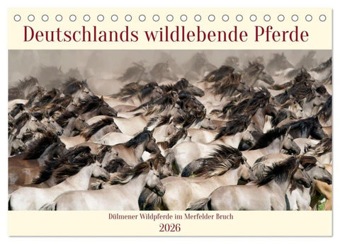 Deutschlands wildlebende Pferde (Tischkalender 2026 DIN A5 quer), CALVENDO Monatskalender