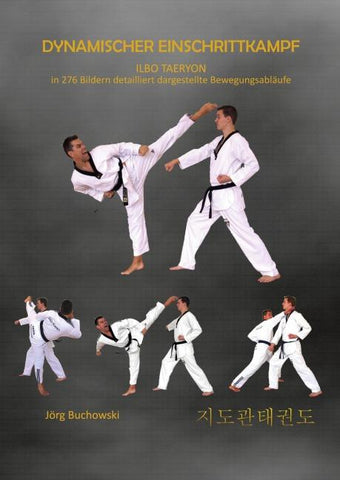 Dynamischer Einschrittkampf Ilbo Taeryon