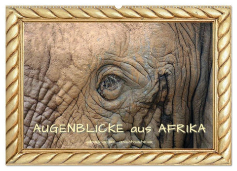 Augenblicke aus Afrika (Wandkalender 2026 DIN A2 quer), CALVENDO Monatskalender