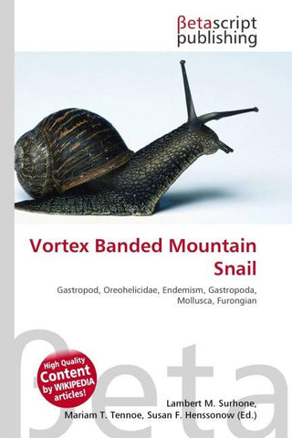 Vortex Banded Mountain Snail
