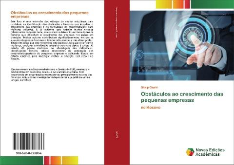 Obstáculos ao crescimento das pequenas empresas