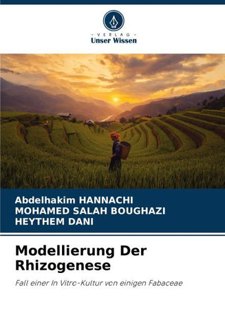 Modellierung Der Rhizogenese