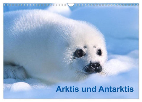 Arktis und Antarktis (Wandkalender 2026 DIN A3 quer), CALVENDO Monatskalender