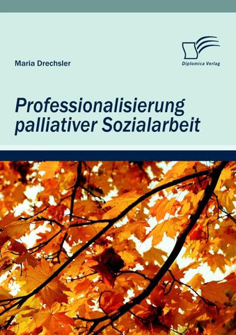 Professionalisierung palliativer Sozialarbeit