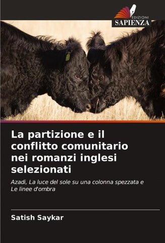 La partizione e il conflitto comunitario nei romanzi inglesi selezionati