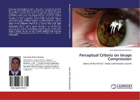 Perceptual Criteria on Image Compression