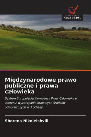 Mi¿dzynarodowe prawo publiczne i prawa cz¿owieka