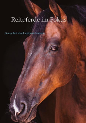 Reitpferde im Fokus