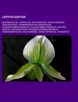Lippfischartige