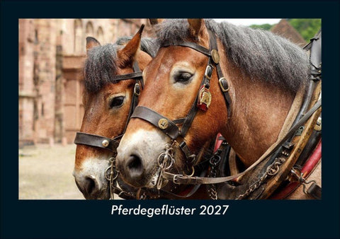 Pferdegeflüster 2027 Fotokalender DIN A5
