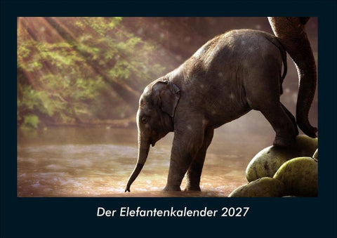 Der Elefantenkalender 2027 Fotokalender DIN A4
