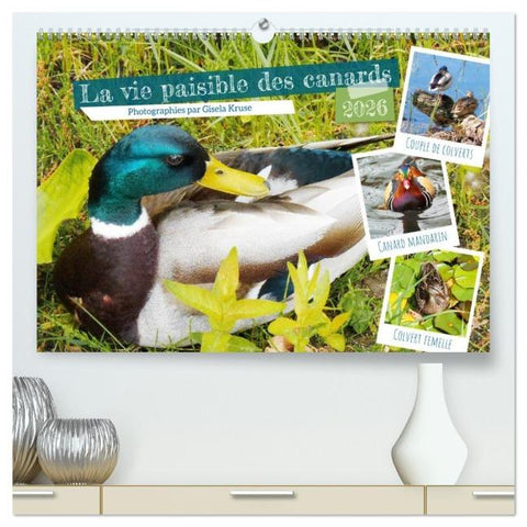 La vie paisible des canards (Calendrier mural 2026 DIN A2 vertical) calendrier de bureau