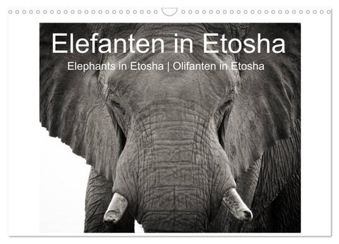 Elefanten in Etosha (Wandkalender 2026 DIN A3 quer), CALVENDO Monatskalender