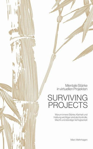 Surviving Projects