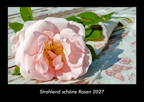 Strahlend schöne Rosen 2027 Fotokalender DIN A3