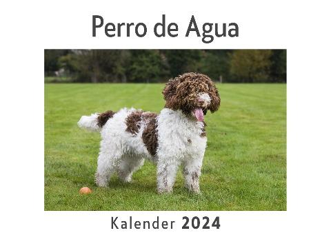 Perro de Agua  (Wandkalender 2024, Kalender DIN A4 quer, Monatskalender im Querformat mit Kalendarium, Das perfekte Geschenk)