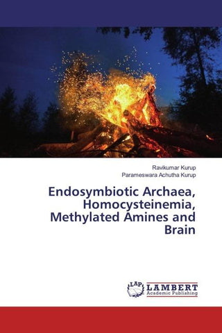 Endosymbiotic Archaea, Homocysteinemia, Methylated Amines and Brain