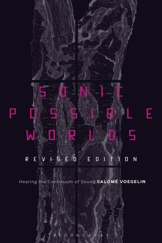 Sonic Possible Worlds