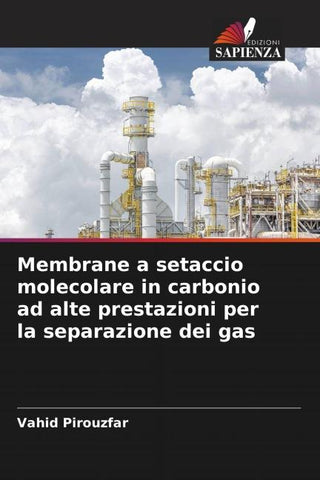 Membrane a setaccio molecolare in carbonio ad alte prestazioni per la separazione dei gas
