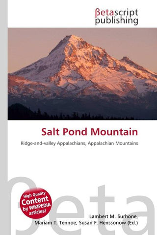 Salt Pond Mountain