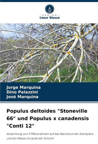 Populus deltoides "Stoneville 66" und Populus x canadensis "Conti 12"