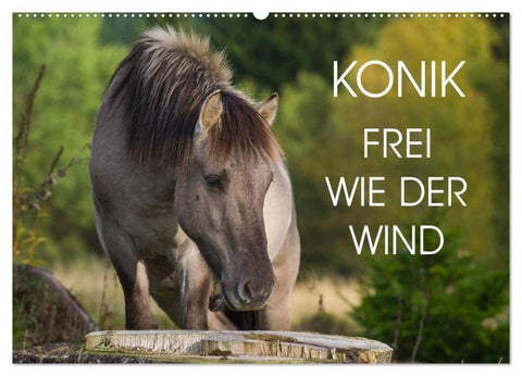 Konik - Frei geboren (Wandkalender 2026 DIN A2 quer), CALVENDO Monatskalender