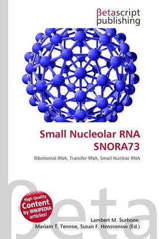 Small Nucleolar RNA SNORA73