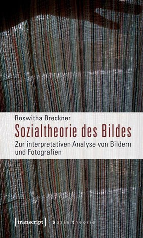 Sozialtheorie des Bildes