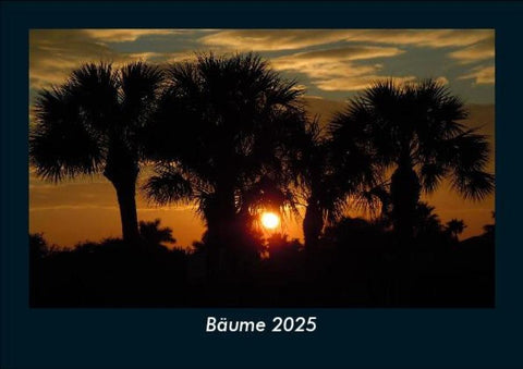 Bäume 2025 Fotokalender DIN A5