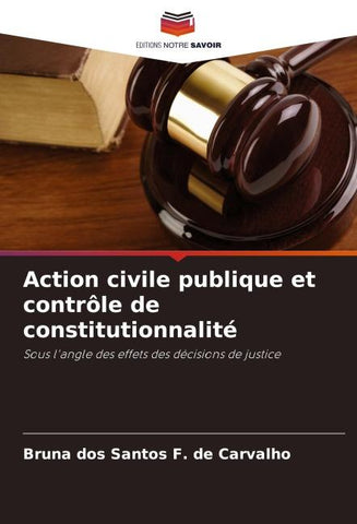 Action civile publique et contrôle de constitutionnalité
