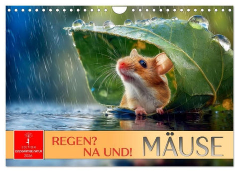 Regen? Na und! Mäuse (Wandkalender 2026 DIN A4 quer), CALVENDO Monatskalender